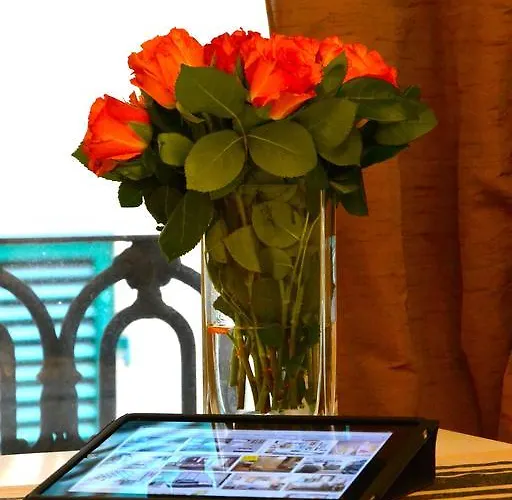 Dei Sassetti * Savona